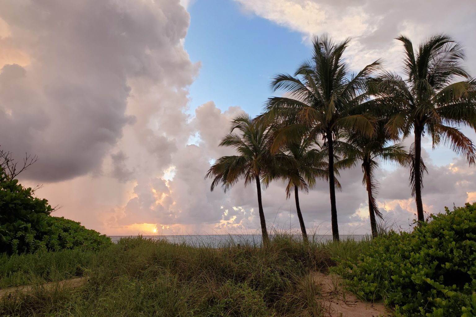 What It s Like Living In Fort Lauderdale FL what-it-s-like-living-in-fort-lauderdale-fl