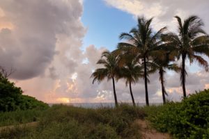 Fort Lauderdale Beach Dunescape at Sunrise